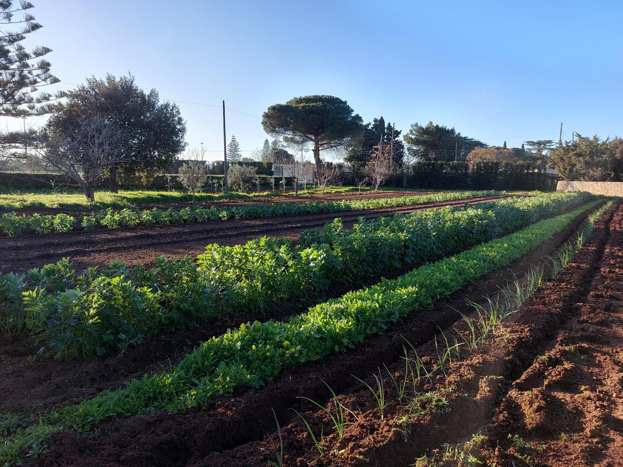 L'Aira Ecchia - Ospitalita Rurale Villa Lecce Luaran gambar